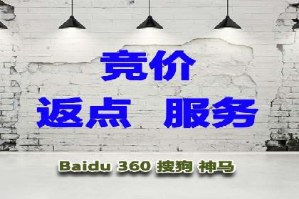 实战技巧：竞价推广案例解析与效果评估